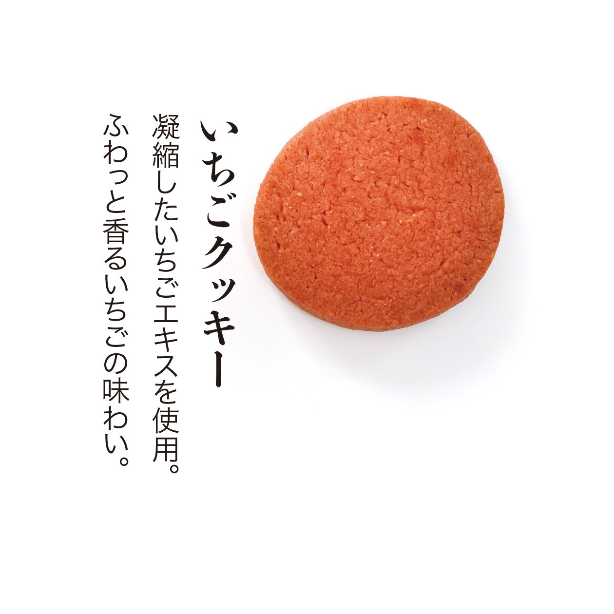 調理大学校で作った手作りクッキー ならまちSCHOOL COOKIE -Healthy &flavorful-
