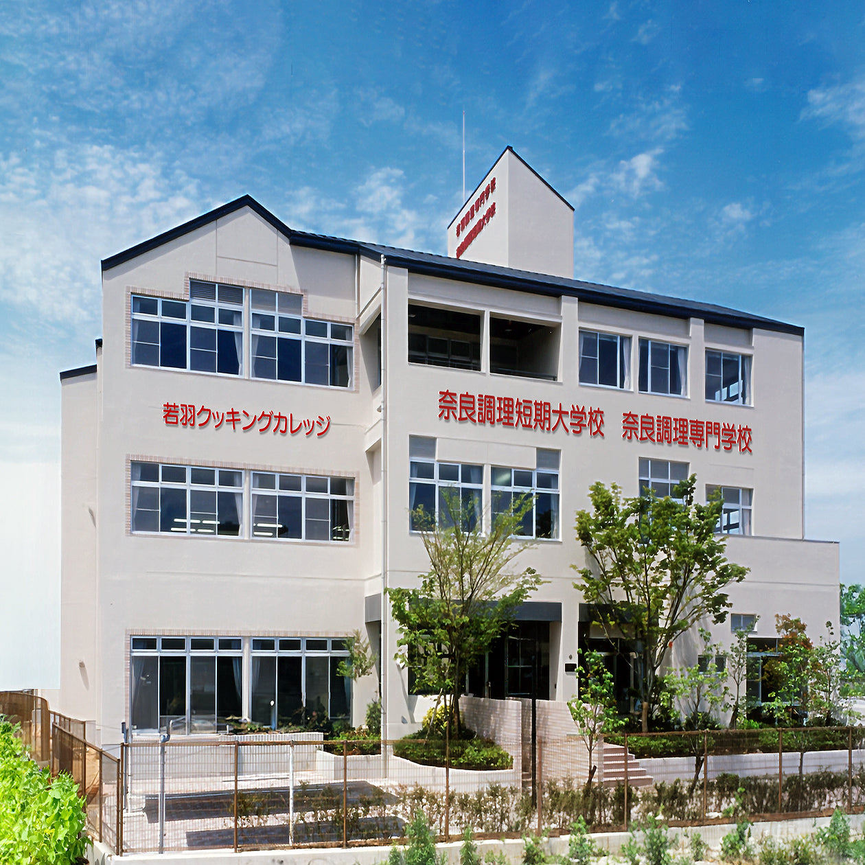 調理大学校で作った手作りクッキー ならまちSCHOOL COOKIE -Healthy &flavorful-