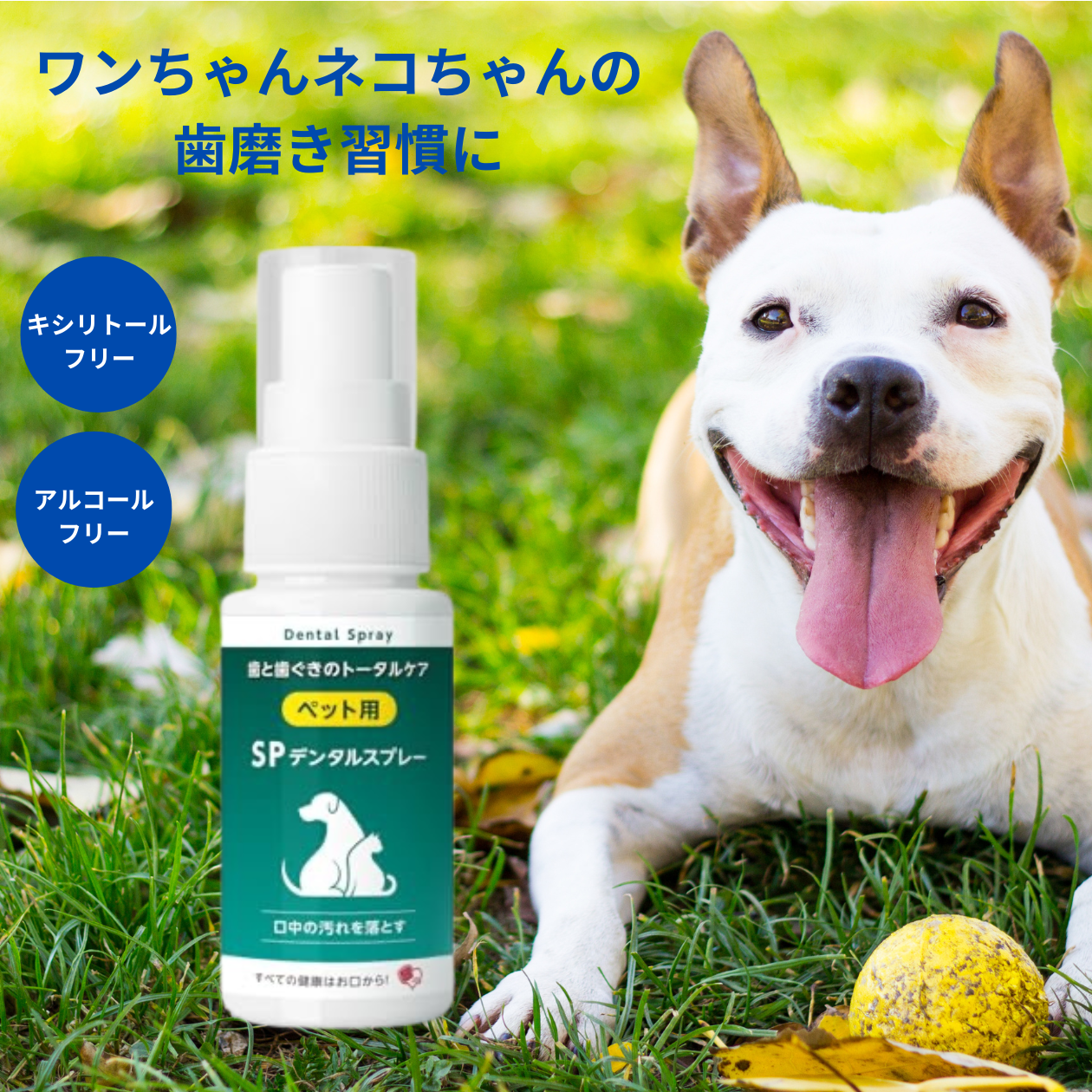 ペット用SPデンタルスプレー 50ml 分割ポリリン酸配合